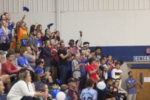 Wildfire fans