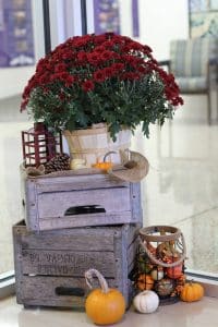 IMG_7882
