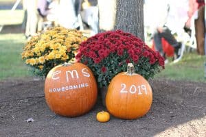 IMG_8185