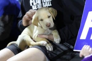 Softest fan...