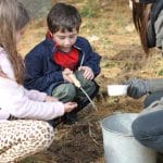 EMES students plant daffodils in hope for spring.