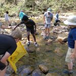 Sixth grade water exploration