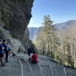 E-term in the Great Smoky National Park, service and hiking, 2023