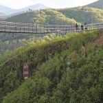 E-term in the Great Smoky National Park, service and hiking, 2023