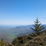 E-term in the Great Smoky National Park, service and hiking, 2023